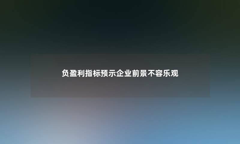 负盈利指标预示企业前景不容乐观