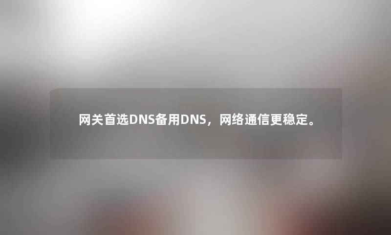 网关首选DNS备用DNS，网络通信更稳定。