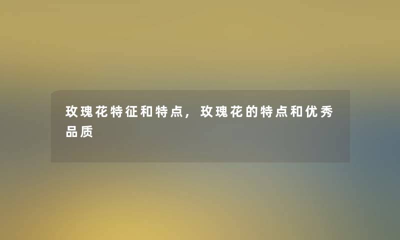 玫瑰花特征和特点,玫瑰花的特点和优秀品质