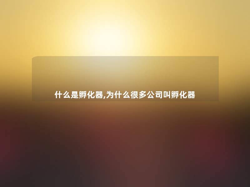 什么是孵化器,为什么很多公司叫孵化器