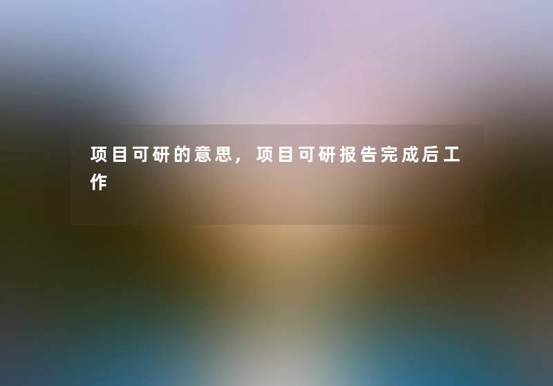 项目可研的意思,项目可研报告完成后工作