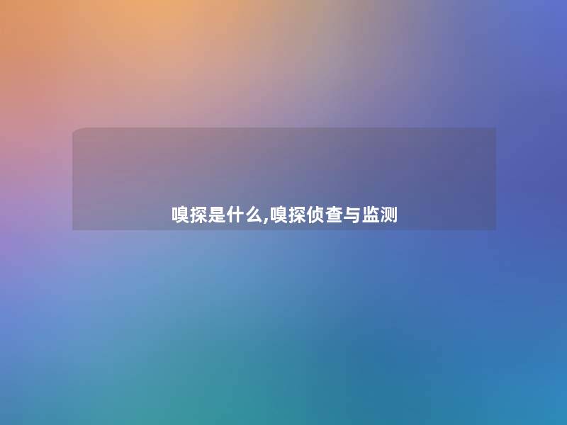 嗅探是什么,嗅探侦查与监测