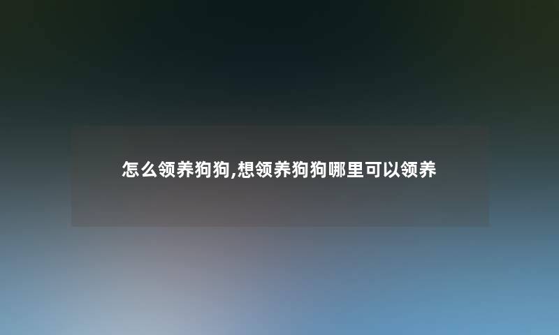 怎么领养狗狗,想领养狗狗哪里可以领养