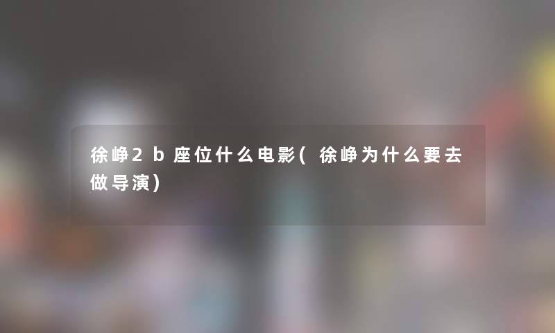 徐峥2b座位什么电影(徐峥为什么要去做导演)