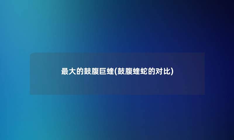 大的鼓腹巨蝰(鼓腹蝰蛇的对比)