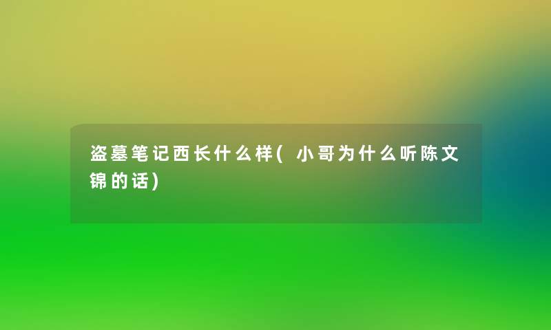 盗墓笔记西长什么样(小哥为什么听陈文锦的话)