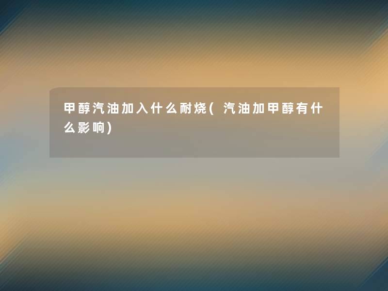 甲醇汽油加入什么耐烧(汽油加甲醇有什么影响)