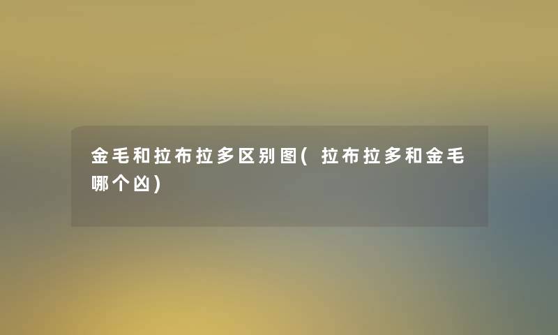 金毛和拉布拉多区别图(拉布拉多和金毛哪个凶)