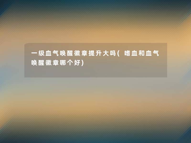 一级血气唤醒徽章提升大吗(嗜血和血气唤醒徽章哪个好)