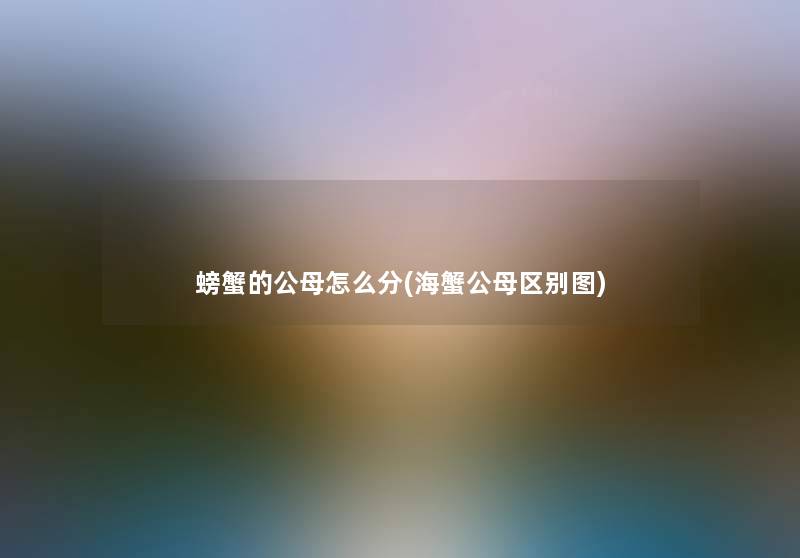 螃蟹的公母怎么分(海蟹公母区别图)