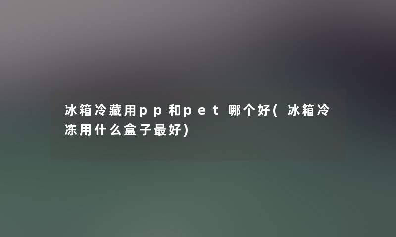 冰箱冷藏用pp和pet哪个好(冰箱冷冻用什么盒子好)