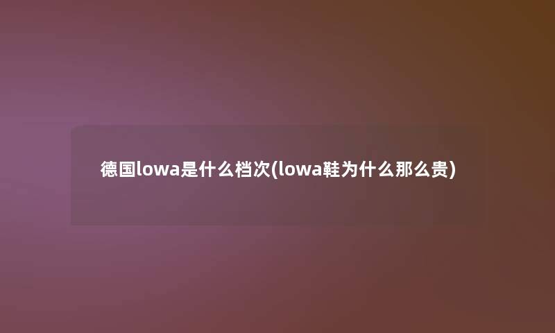 德国lowa是什么档次(lowa鞋为什么贵)