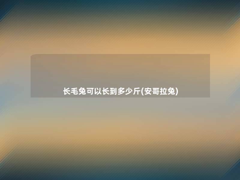 长毛兔可以长到多少斤(安哥拉兔)