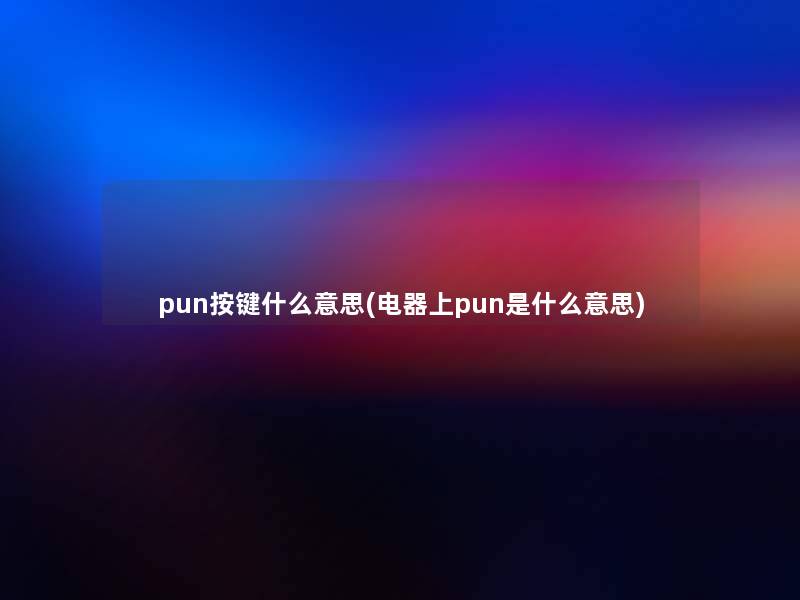 pun按键什么意思(电器上pun是什么意思)