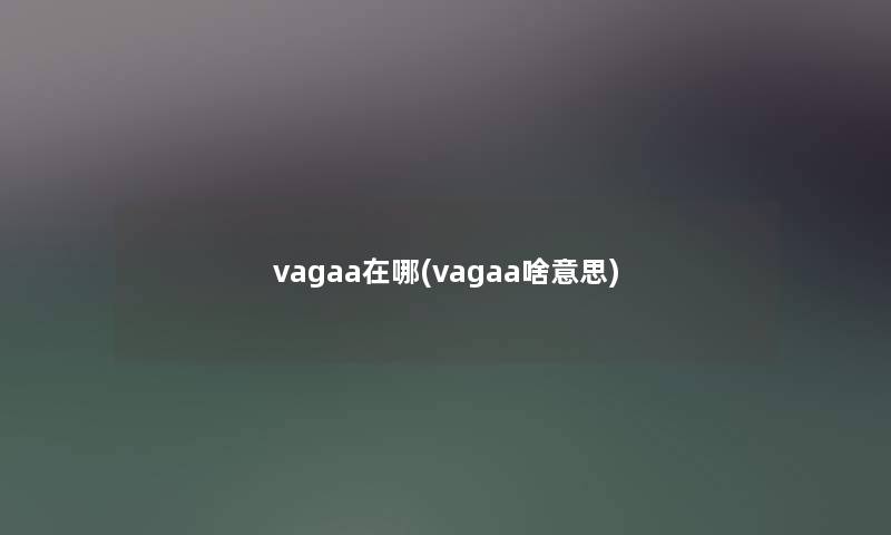 vagaa在哪(vagaa啥意思)