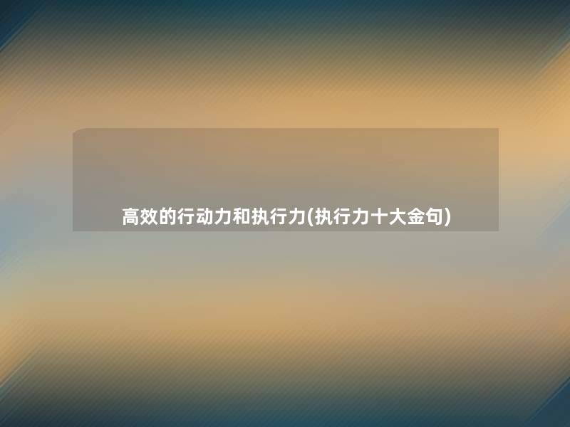 高效的行动力和执行力(执行力一些金句)