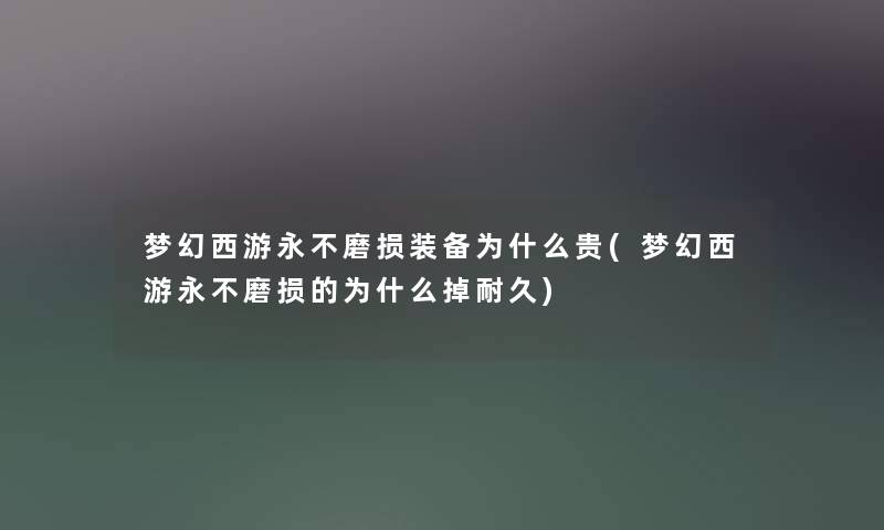 梦幻西游永不磨损装备为什么贵(梦幻西游永不磨损的为什么掉耐久)