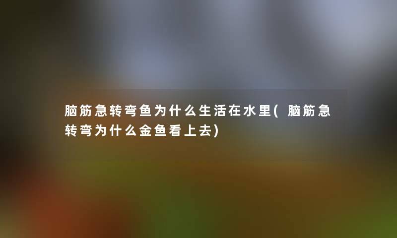 脑筋急转弯鱼为什么生活在水里(脑筋急转弯为什么金鱼看上去)