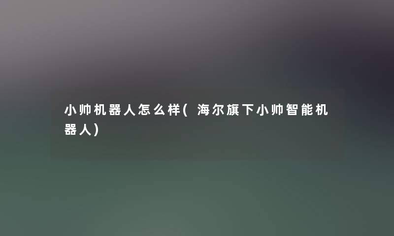 小帅机器人怎么样(海尔旗下小帅智能机器人)