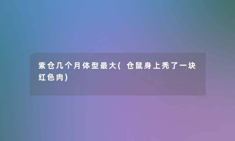 紫仓几个月体型大(仓鼠身上秃了一块红色肉)