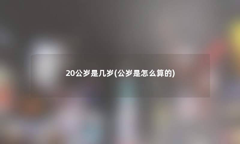 20公岁是几岁(公岁是怎么算的)