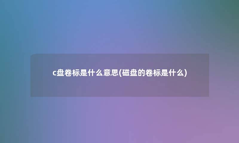 c盘卷标是什么意思(磁盘的卷标是什么)