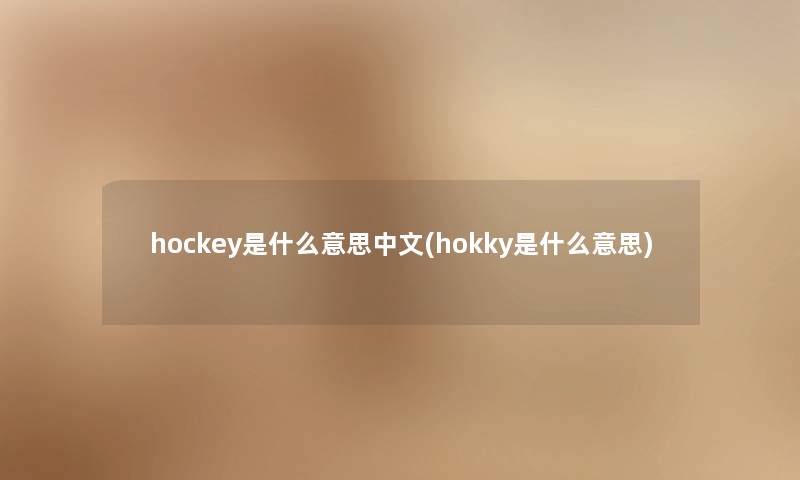 hockey是什么意思中文(hokky是什么意思)