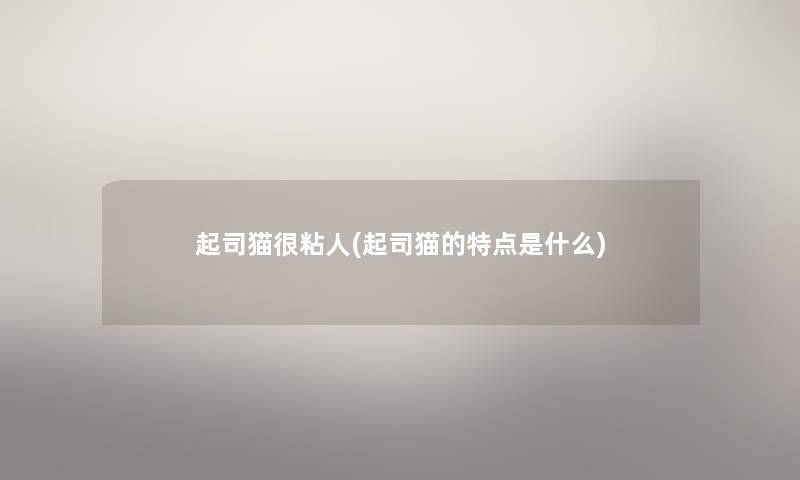 起司猫很粘人(起司猫的特点是什么)