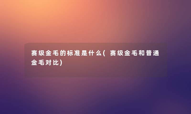 赛级金毛的标准是什么(赛级金毛和普通金毛对比)